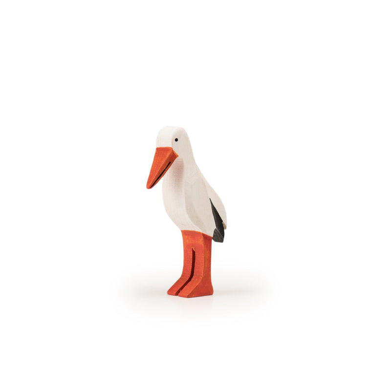 Storch
