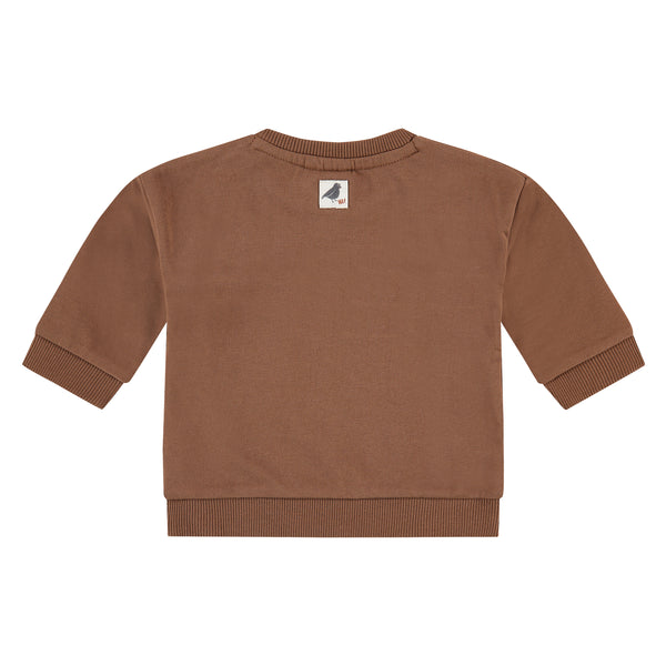 Baby Boys Pullover - chocolate
