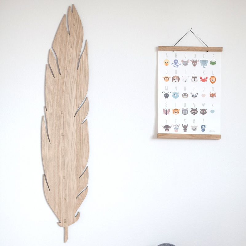 Wooden Feather Shaped Growth Chart